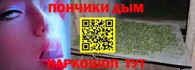 гидра Кингисепп